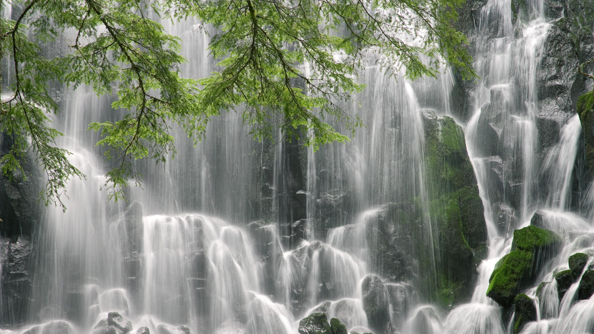 鲁士那洛<a href=https://www.tgqjwang.com/ target=_blank class=infotextkey>情降</a>油反噬鲁士龙纳<a href=https://www.tgqjwang.com/ target=_blank class=infotextkey>情降</a>法事成功率